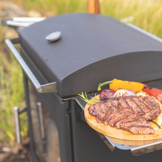 Hestia Heat & Cook 50 Outdoor Wood Stove & BBQ Grill - Dragonfly
