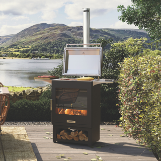 Hestia Heat & Cook 50 Outdoor Wood Stove & BBQ Grill - Dragonfly