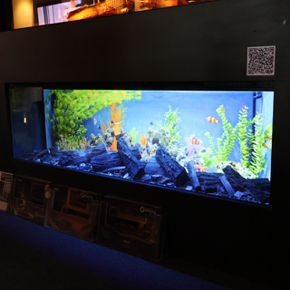Ex-Display Trueflame 150 3DX LCD 3-Sided Media Wall Electric Fire - Solution